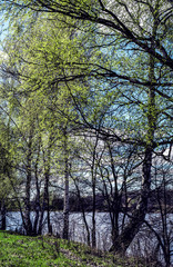 Beautiful brightly lit spring landscape background. Blue river and trees on on a sunny day after melting snow.