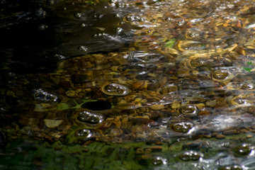 Bubbling water flow in a pond