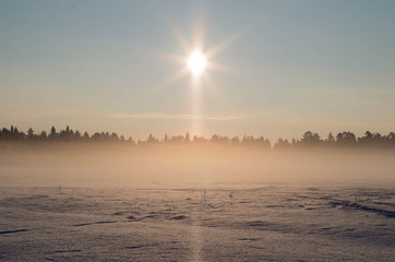 Snow-covered field and forest. Sun and fog in winter.