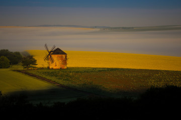 Morawy © marcinbawiec
