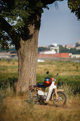 Naklejka premium Classic beautiful vintage moped in retro style with a round spotlight parked under a big tree in a field near a river on a warm sunny summer day