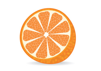Color vector realistic illustration of orange slice isolated on white background.