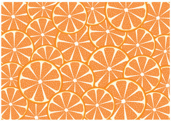 Color vector realistic illustration of orange slices. Vector fruits background.