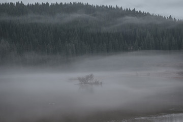Obraz na płótnie Canvas Misty Islet. Spring flood on the river Kus'ya. Perm region.