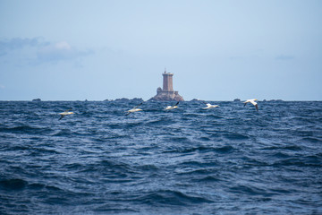 le phare