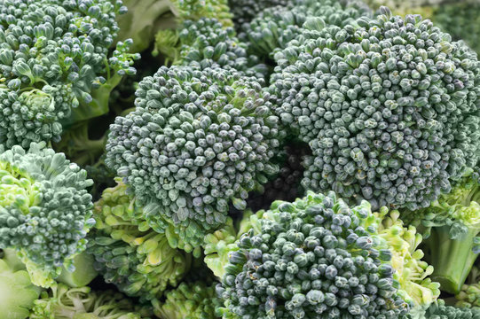 Green broccoli macro.