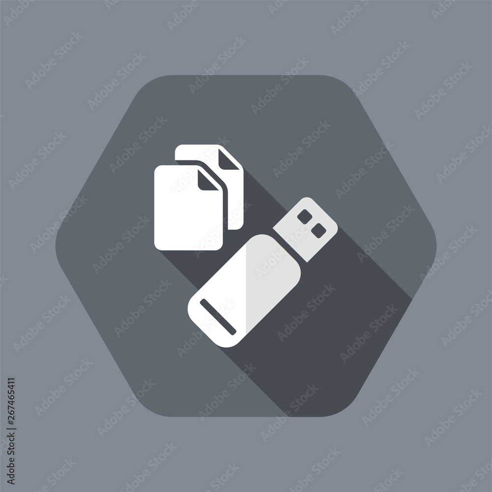 Poster usb memory - flat minimal icon