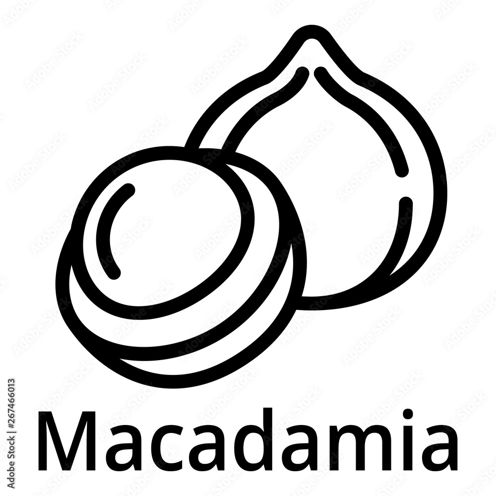 Poster macadamia icon. outline macadamia vector icon for web design isolated on white background