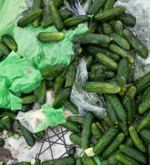 Piles of cucumbers on the landfill