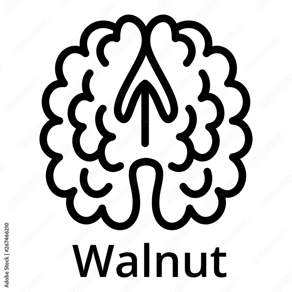 Poster walnut icon. outline walnut vector icon for web design isolated on white background