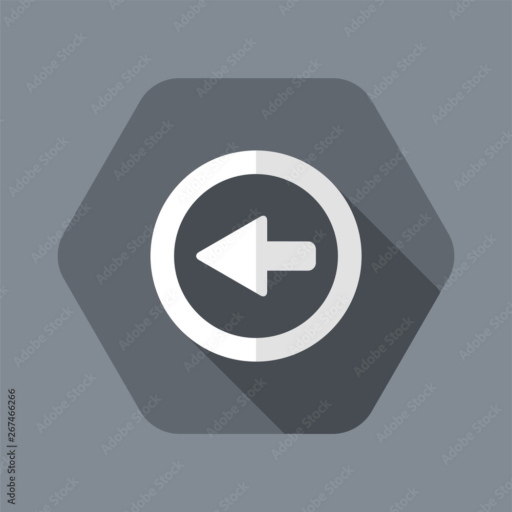 Poster back button - vector flat minimal icon