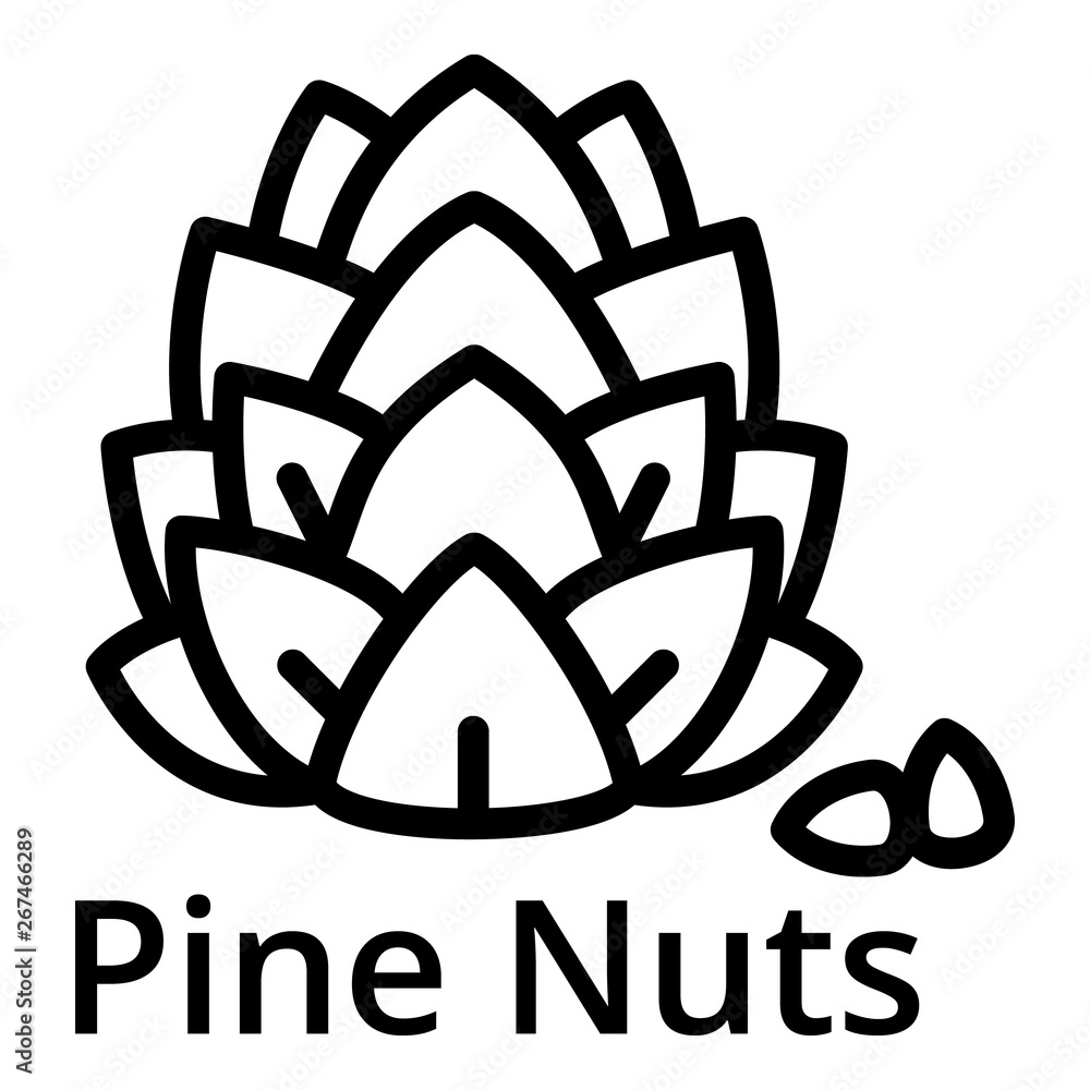 Poster pine nuts icon. outline pine nuts vector icon for web design isolated on white background