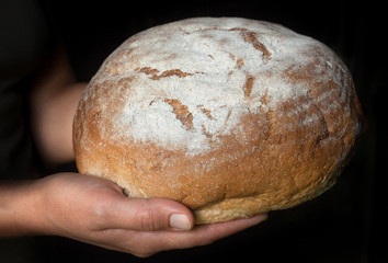 Hands holding fresh round bread.