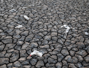 Garbage on the ground