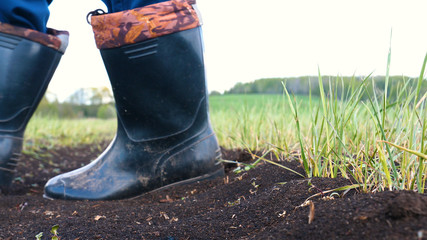 agricultural, farmer, farmland, field, green, growth, line, work, agriculture, farm, food, landscape, natural, nature, outdoor, plant, rural, examine, landscaped, storm, corn, grow, growing, horizonta