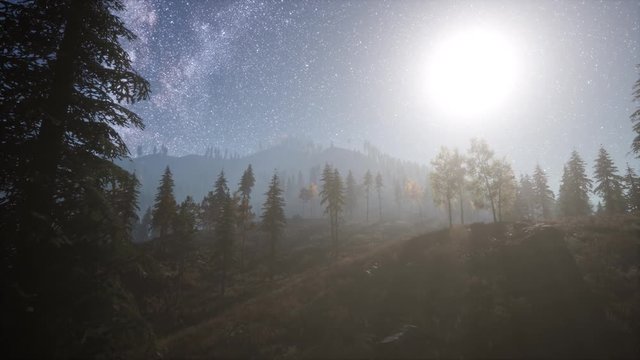 Milky Way stars with moonlight above pine trees forest