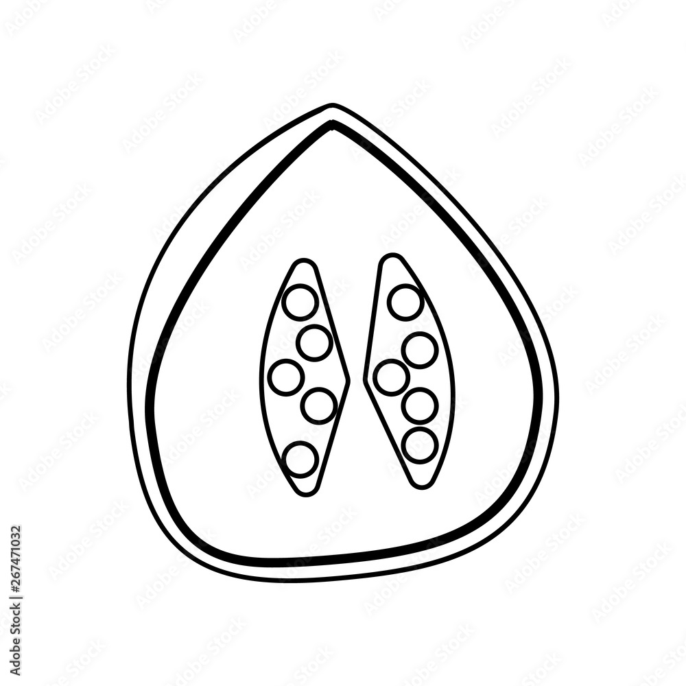 Poster pitaya icon. element of india for mobile concept and web apps icon. outline, thin line icon for webs