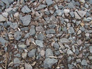 gray gravel with brown dry leaves background