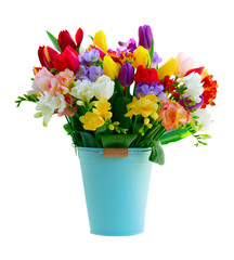 fresh tulips flowers