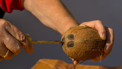 Kokosnuss mit Vorstecher öffnen