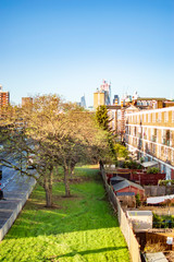 Fototapeta premium Green patch on the road in london with other trees