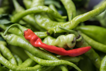 Green and red chili
