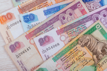 Fototapeta na wymiar Sri Lanka money Rupee, banknote 10 20 50 100