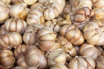 garlic view from the top
