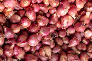 garlic view from the top