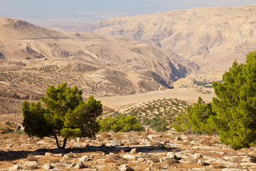 Panorámica del valle del río Jordan. Monte Nebo. Tierra Santa. Jordania, Oriente Medio