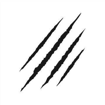 Claw scar. Vector illustration. Isolated.