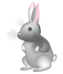 Gray cute rabbit. The symbol of Easter in the culture of many countries. Vector illustration