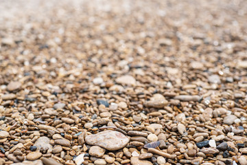 Sea pebble background