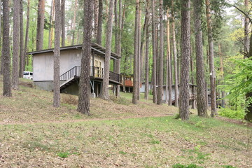 Domek w lesie © Rafa