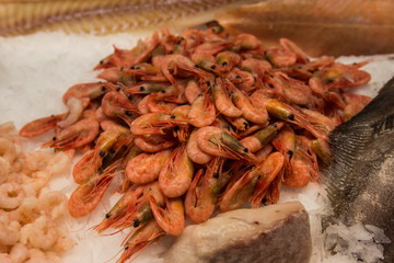 Fish food in a store in Brussels 