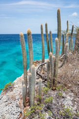 Views around the Caribbean Island of Curacao