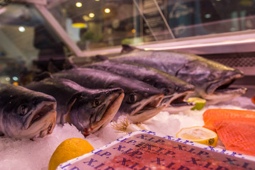Fish food in a store in Brussels 