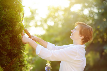 Fototapeta premium Portrait of mature female gardener. Woman working with secateur in domestic garden at summer day.