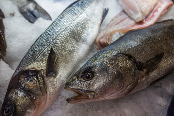 Fish food in a store in Brussels 