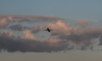 plane in the sky
