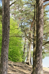 Obraz premium Ruciane-Nida