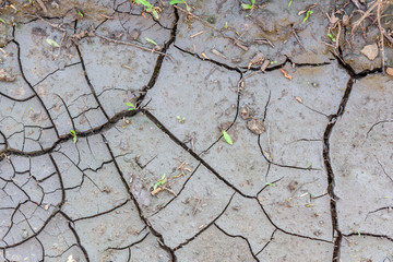 Background of the cracked dry ground. Global warming