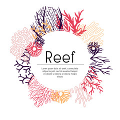 Template of seaweed and corals