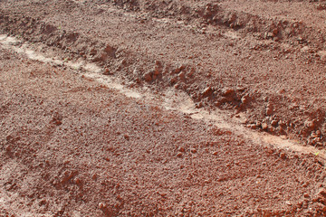 Empty clean beds in the garden. Close-up. Background. Texture.