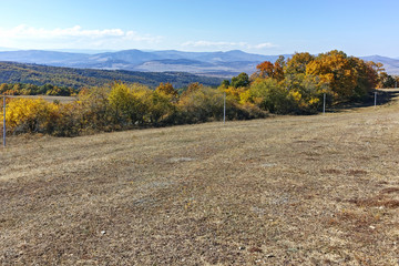 Fototapeta na wymiar Amazing Autumn landscape of Cherna Gora (Monte Negro) mountain, Pernik Region, Bulgaria