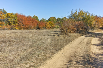 Amazing Autumn landscape of Cherna Gora (Monte Negro) mountain, Pernik Region, Bulgaria