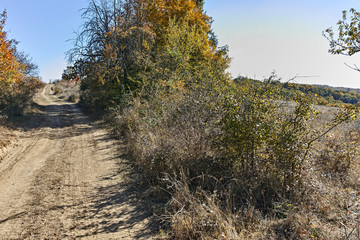 Amazing Autumn landscape of Cherna Gora (Monte Negro) mountain, Pernik Region, Bulgaria