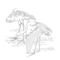 japanese colouring page