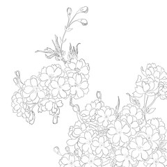 japanese colouring page