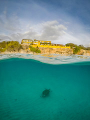 Turtle Views around the Caribbean Island of Curacao